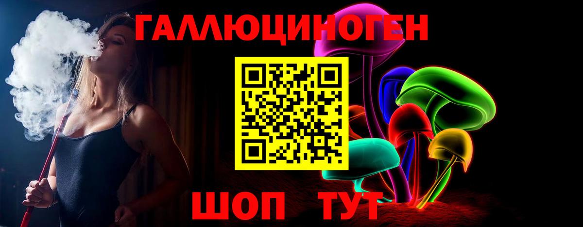 Псилоцибиновые грибы Psilocybine cubensis Архангельск